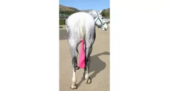 Tail Tamer Lycra Tail Bag -Equestrian Supplies Store 5 822674 1
