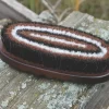 Tail Tamer Wood Series Small Oval Horse Hair Brush 1 Tail Tamer Wood Series Small Oval Horse Hair Brush -Equestrian Supplies Store 5 822708 5