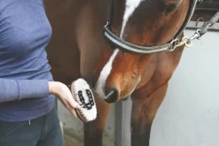 Tail Tamer Wood Series Small Oval Boar Bristle Brush