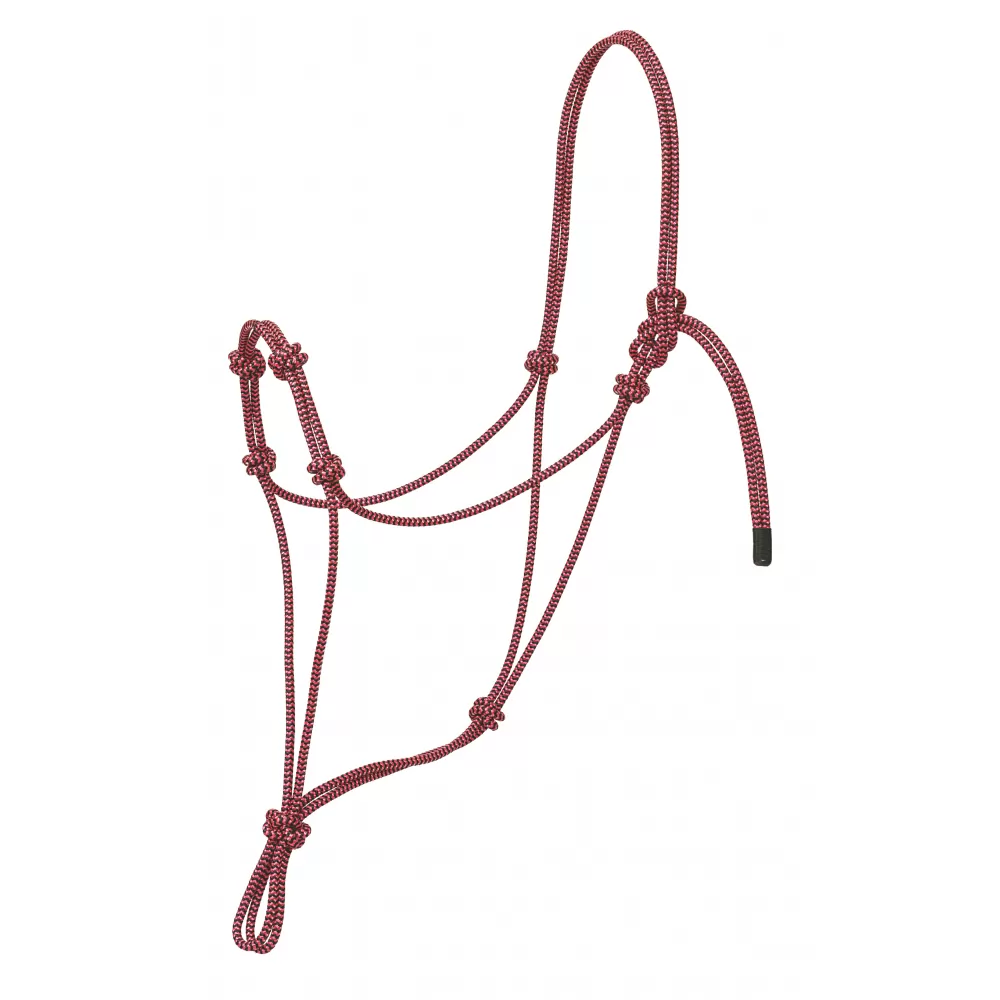 Weaver Leather Silvertip Four Knot Rope Halter 10 Weaver Leather Silvertip Four Knot Rope Halter - Image 8