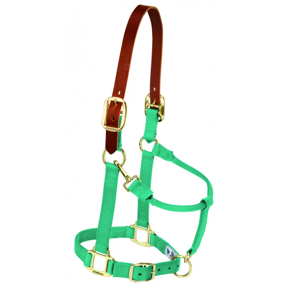 Weaver Pony Breakaway Halter With Adjustable Chin 4 Weaver Pony Breakaway Halter With Adjustable Chin - Image 2