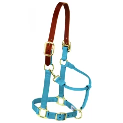 Weaver Pony Breakaway Halter With Adjustable Chin 15 Weaver Pony Breakaway Halter With Adjustable Chin -Equestrian Supplies Store 5 875833 hrrcnblue
