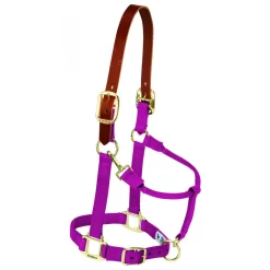 Weaver Pony Breakaway Halter With Adjustable Chin 16 Weaver Pony Breakaway Halter With Adjustable Chin -Equestrian Supplies Store 5 875836 raspberry