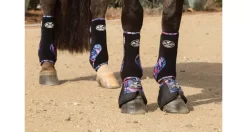 Professionals Choice VenTECH Elite SMB Value Pack