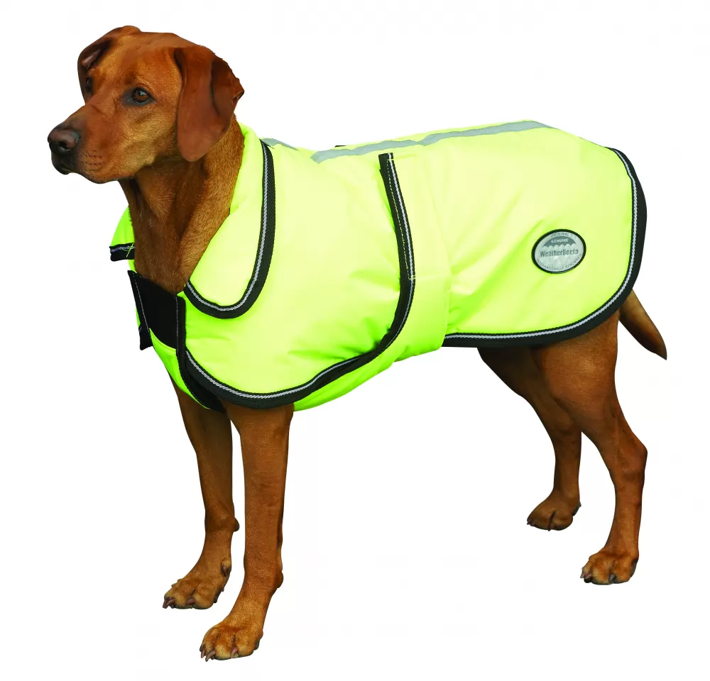 WeatherBeeta Reflective Parka Dog Coat With Belly Wrap 4 WeatherBeeta Reflective Parka Dog Coat With Belly Wrap - Image 2