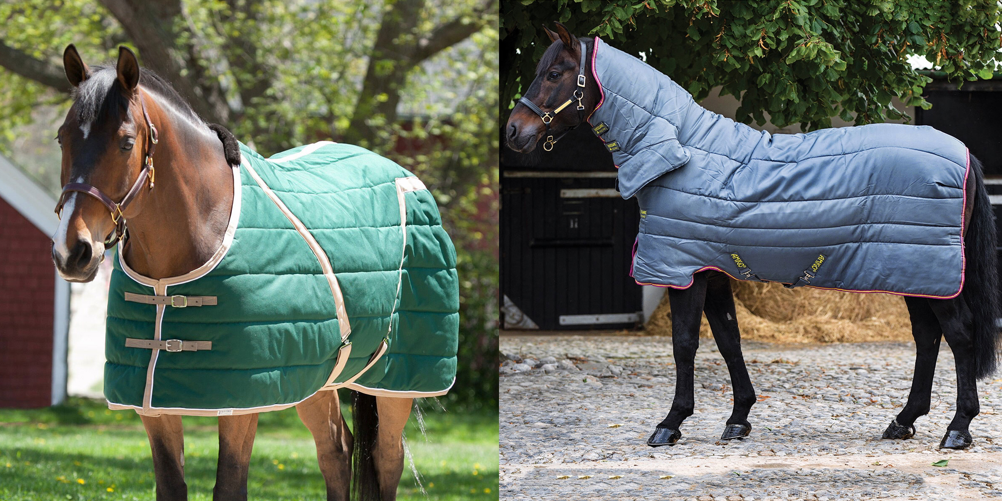 Equestrian Supplies Store -Equestrian Supplies Store 5