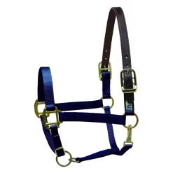 Perris Premium Nylon Safety Halter -Equestrian Supplies Store 51e3212bd08c023cf00512edde9bd0fc