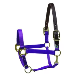 Perris Premium Nylon Safety Halter -Equestrian Supplies Store 5f6e627e47ed0dfd123e7bf5b2c49604