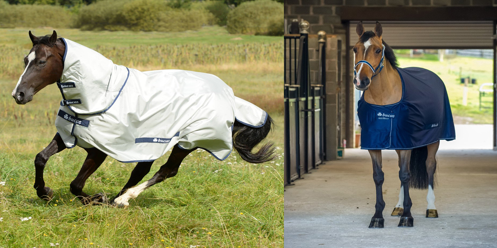 Equestrian Supplies Store -Equestrian Supplies Store 6