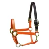 Perris Premium Nylon Safety Halter