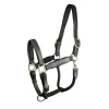 Gatsby Padded Leather Halter Fully Adjustable -Equestrian Supplies Store 840875010397