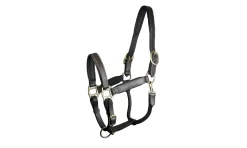 Gatsby Padded Leather Halter Fully Adjustable