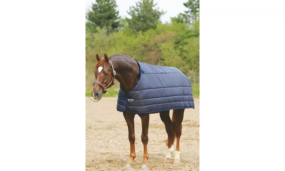 Rambo By Horseware Horse Blanket Liner 100g 3 Rambo By Horseware Horse Blanket Liner 100g