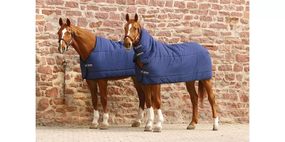 Rambo By Horseware Horse Blanket Liner 100g 4 Rambo By Horseware Horse Blanket Liner 100g - Image 2