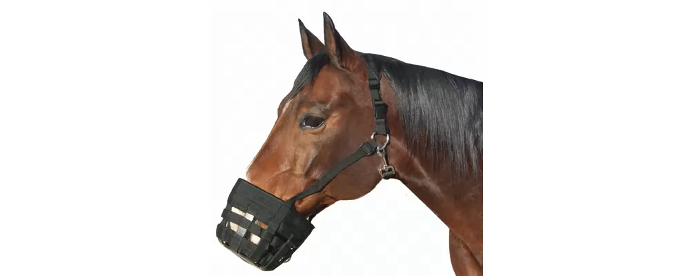 Best Friend Deluxe Grazing Muzzle 3 Best Friend Deluxe Grazing Muzzle