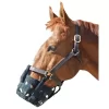 Best Friend Equine Grazing Muzzle