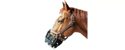 Best Friend Cribbing Muzzle 9 Best Friend Cribbing Muzzle -Equestrian Supplies Store bf11