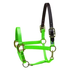 Perris Premium Nylon Safety Halter -Equestrian Supplies Store c1a49064d06809808677788d3a4bbc1c