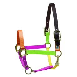 Perris Premium Nylon Safety Halter -Equestrian Supplies Store d000a555da2630bd22b3782959ae72fb