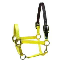 Perris Premium Nylon Safety Halter -Equestrian Supplies Store e51d2e4a7069018f8929bbc8f765c15c
