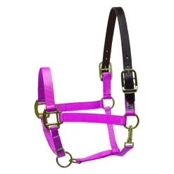 Perris Premium Nylon Safety Halter -Equestrian Supplies Store f2a47ff7d298e3818cc4218864fcaa9e