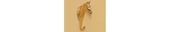 Horse Fare Large Horsehead Hook 10 Horse Fare Large Horsehead Hook -Equestrian Supplies Store hf00025 brass