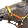 Horse Fare Earth Tone Nylon Breakaway Halter 1 Horse Fare Earth Tone Nylon Breakaway Halter -Equestrian Supplies Store hf00034 v1