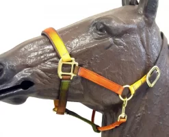 Horse Fare Earth Tone Nylon Breakaway Halter