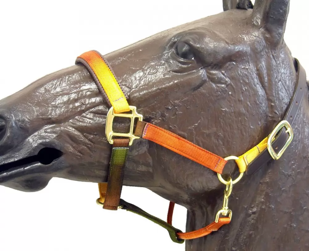 Horse Fare Earth Tone Nylon Breakaway Halter 3 Horse Fare Earth Tone Nylon Breakaway Halter
