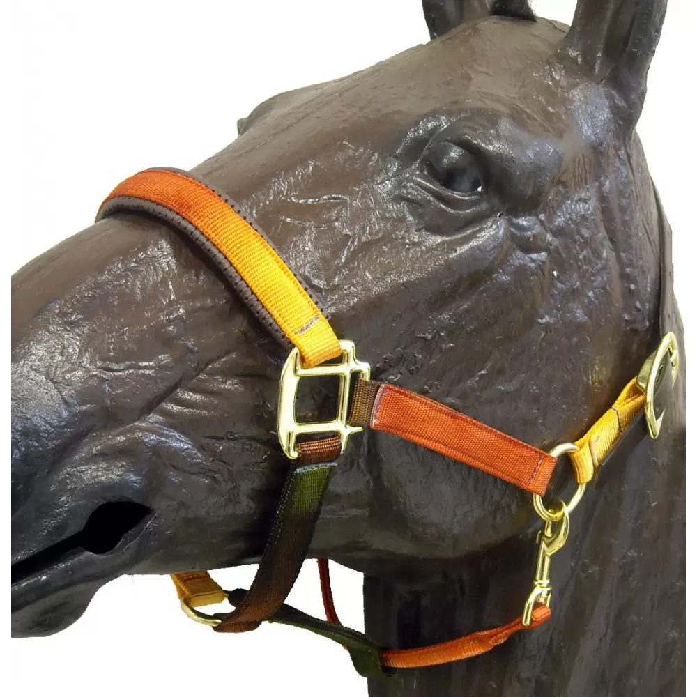 Horse Fare Earth Tone Nylon Breakaway Halter 4 Horse Fare Earth Tone Nylon Breakaway Halter - Image 2