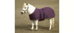 Ozark Mini/Pony Roustabout Blanket 15 Ozark Mini/Pony Roustabout Blanket -Equestrian Supplies Store km533lt e