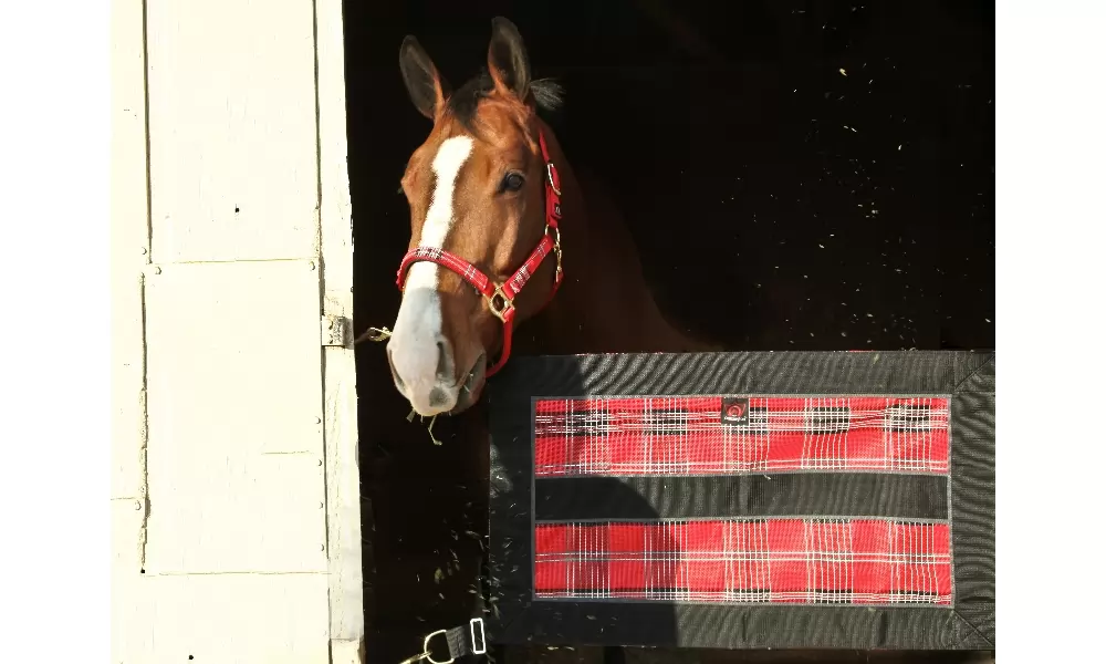 Kensington Stall Guard With Hardware 10 Kensington Stall Guard With Hardware - Image 8