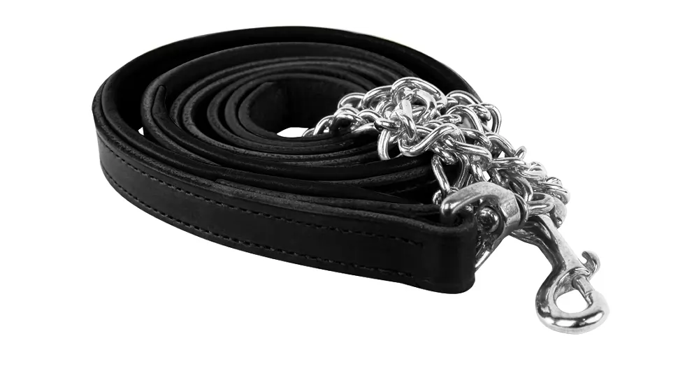 Perris Soft Padded Leather Lead With Custom Nameplate 9 Perris Soft Padded Leather Lead With Custom Nameplate - Image 7