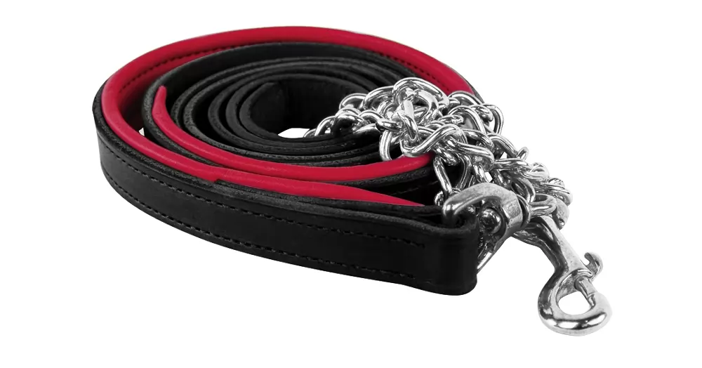 Perris Soft Padded Leather Lead With Custom Nameplate 10 Perris Soft Padded Leather Lead With Custom Nameplate - Image 8