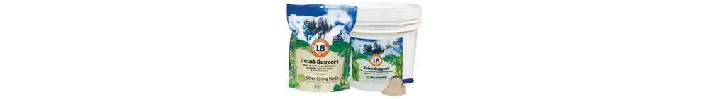 Silver Lining Joint Support 3 Silver Lining Joint Support