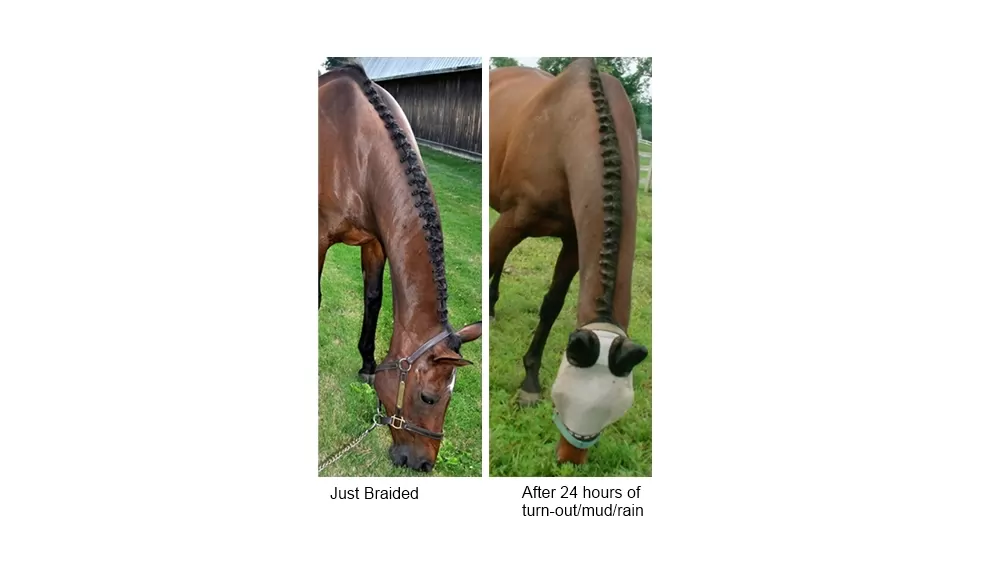 Braideez Braiding Wire 4 Braideez Braiding Wire - Image 2