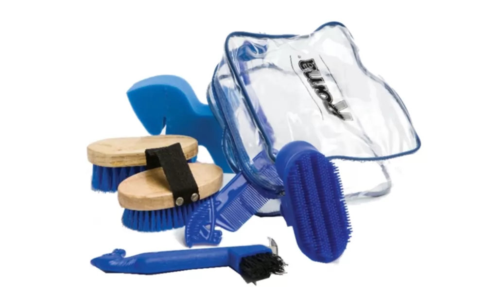 Roma Pony Grooming Kit 4 Roma Pony Grooming Kit - Image 2