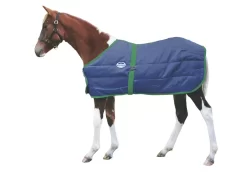 WeatherBeeta Growing Foal Stable Blanket