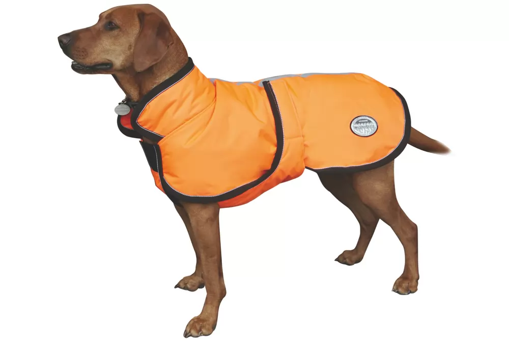 WeatherBeeta Reflective Parka Dog Coat With Belly Wrap 3 WeatherBeeta Reflective Parka Dog Coat With Belly Wrap