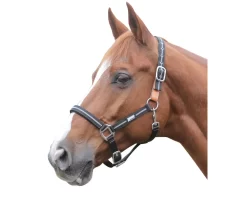 Roma Reflective Breakaway Halter